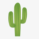 C - Cactus