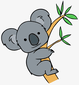 K - Koala