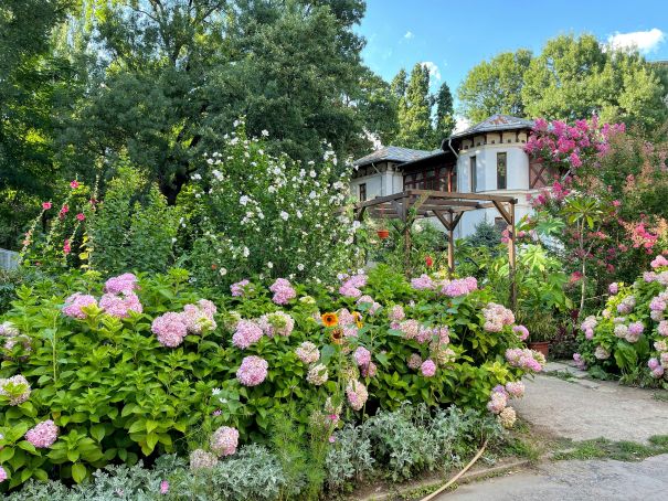 Garden alongside a home in Romania