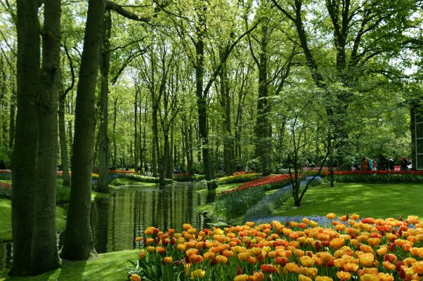 Keukenhof Gardens