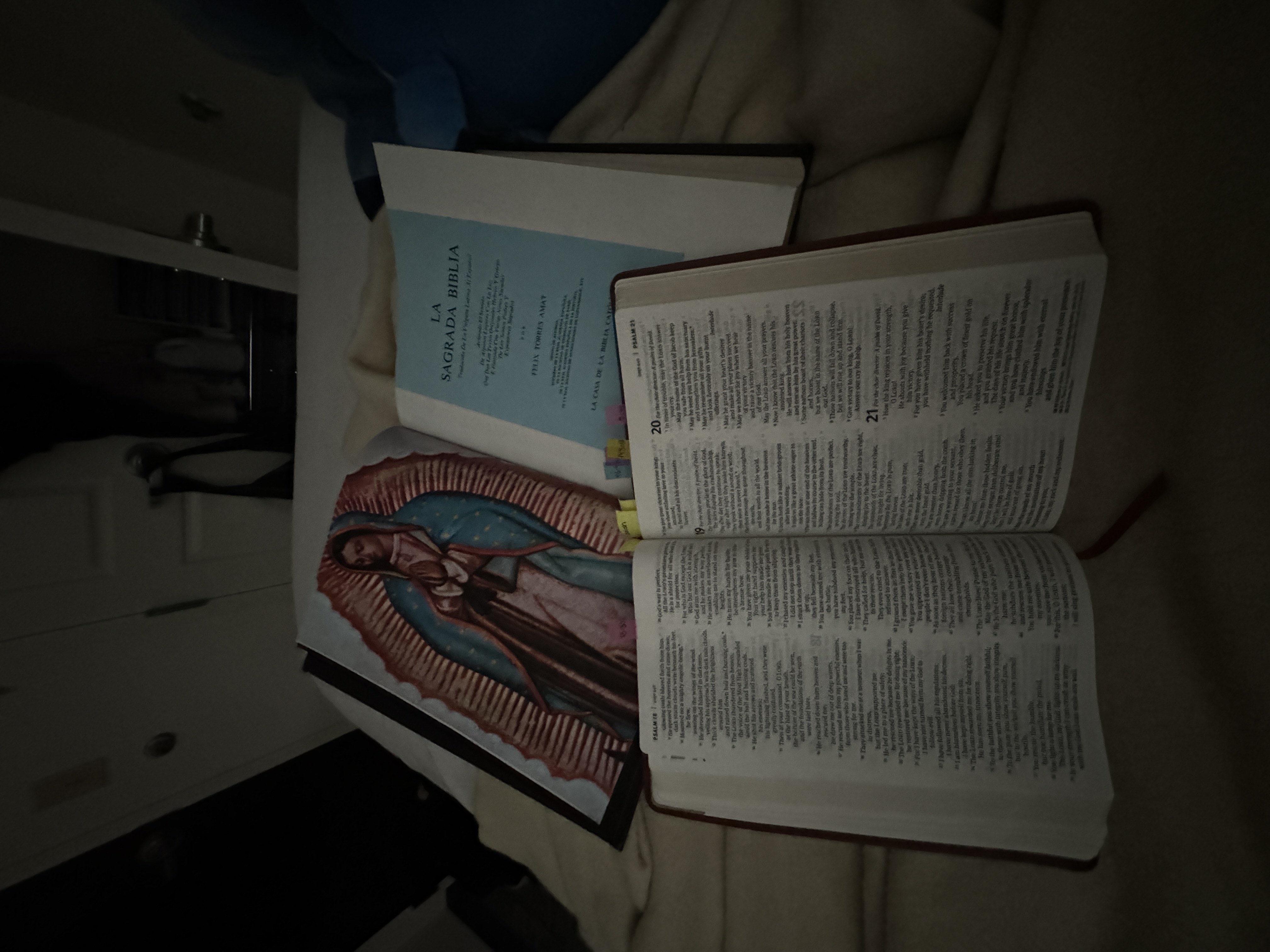 Item starting with 'V'