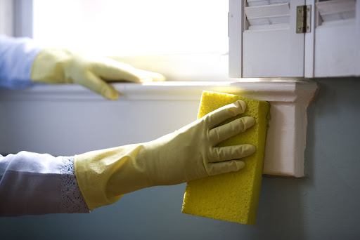 cleaner