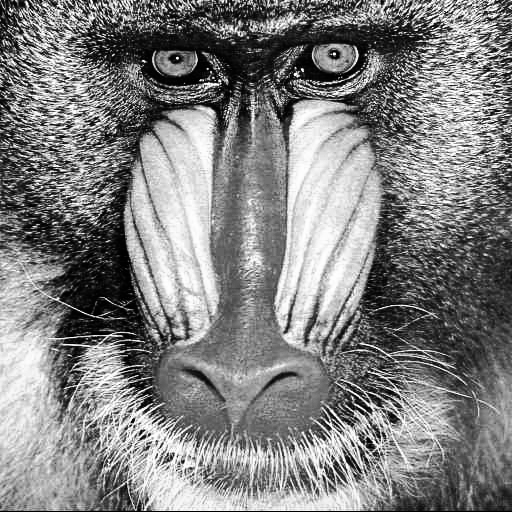 Mandrill (Original)