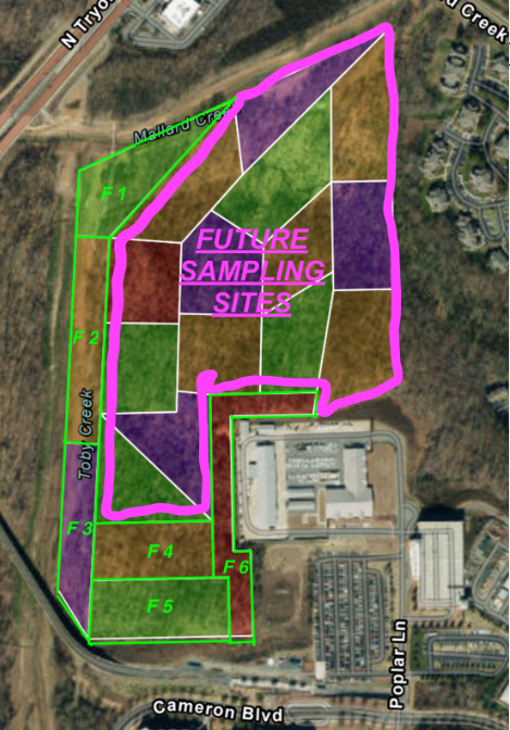 Forest Map