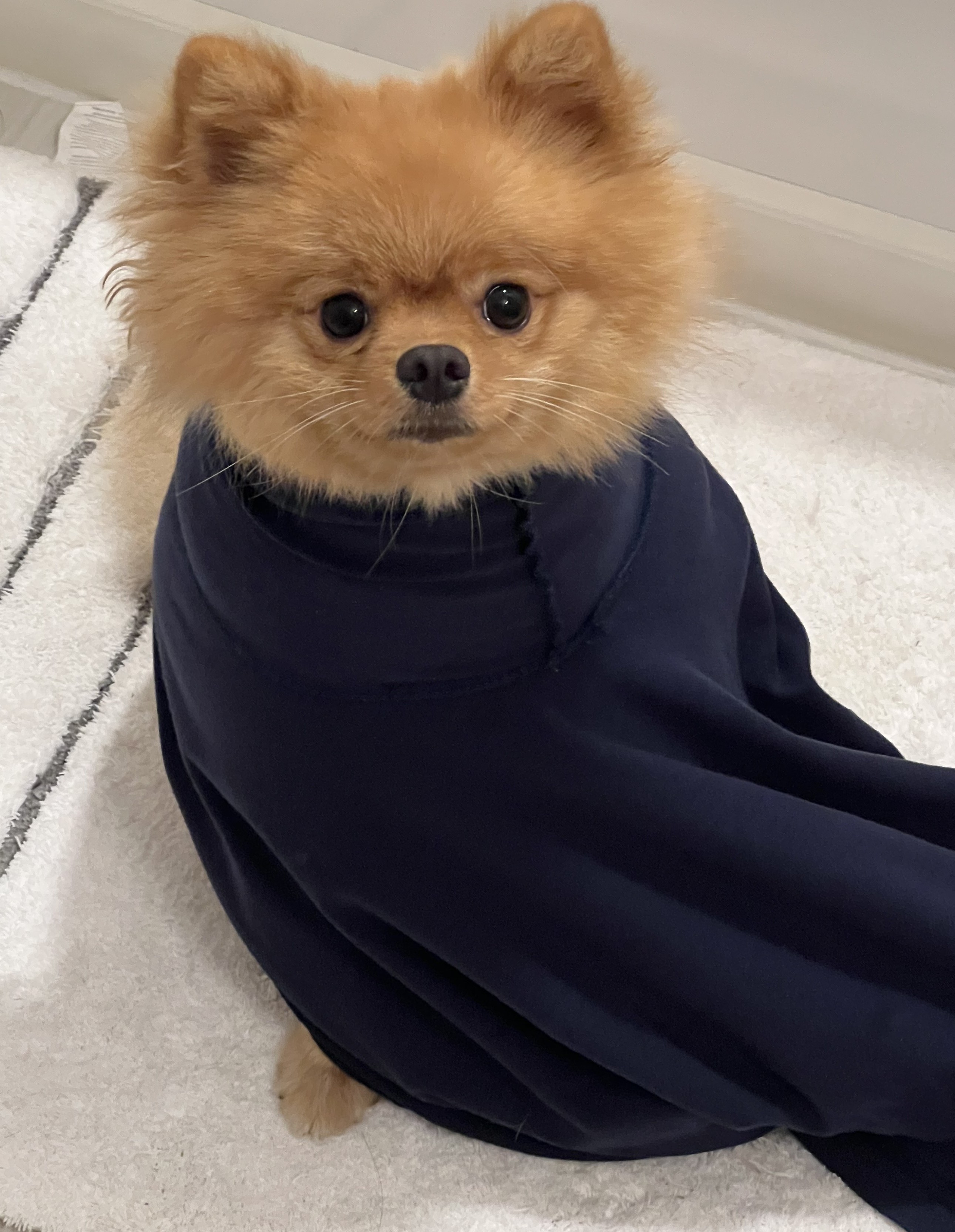 PhD student