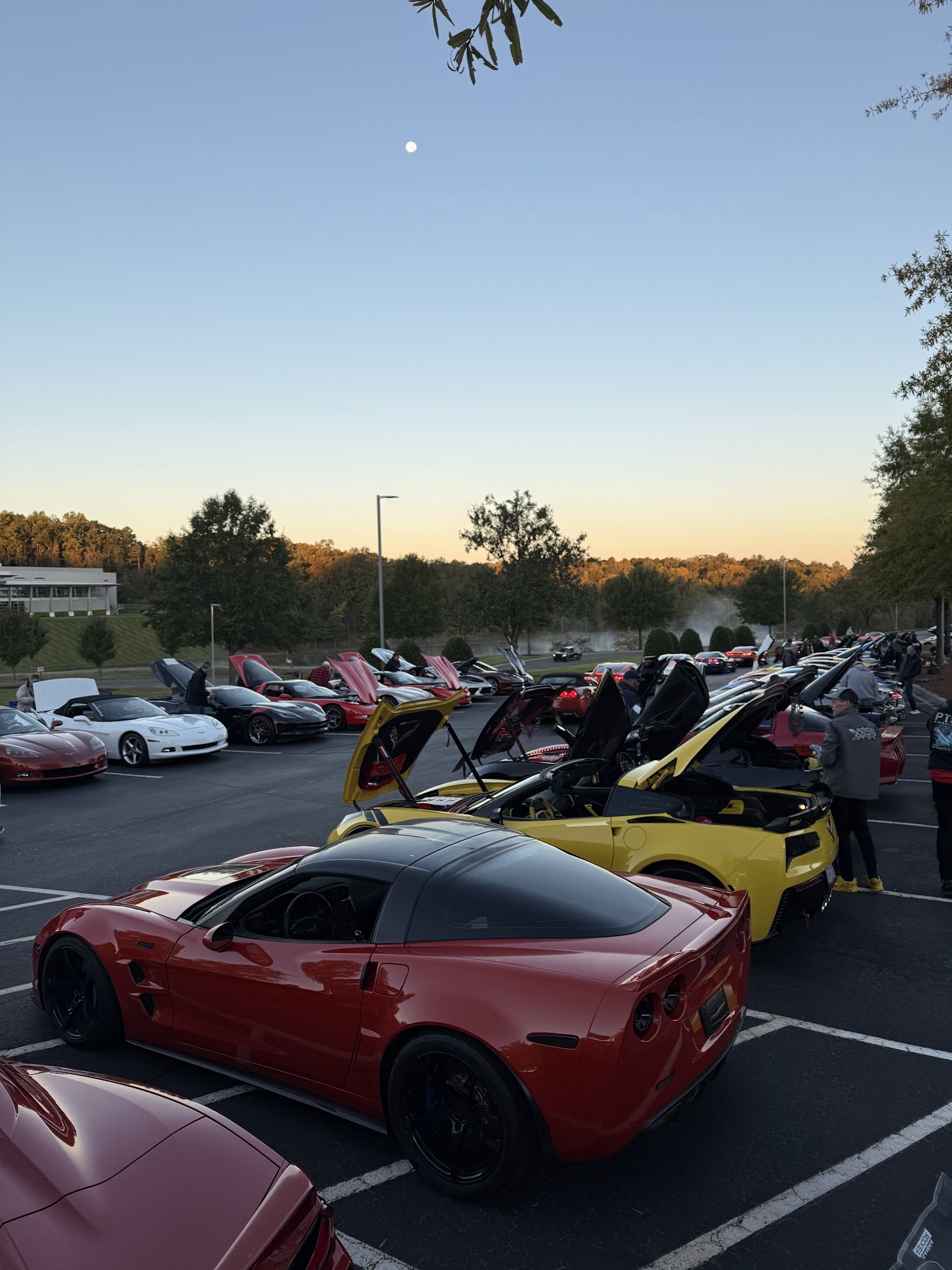queen city corvette show