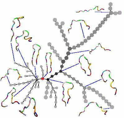Folding pathways for 2GB1(16)