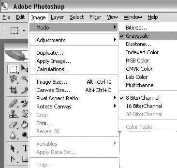 InDesign Menu Choice for Black and White image.